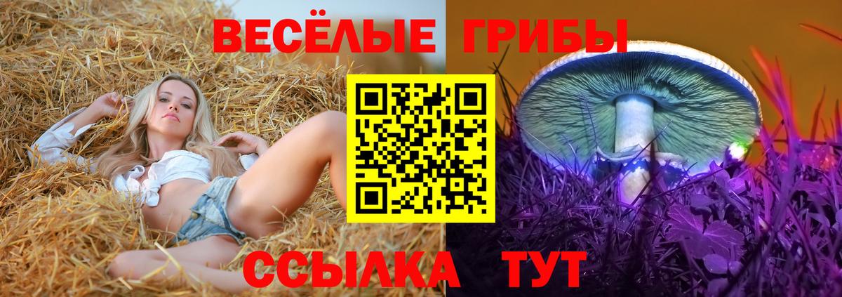 Отрадный  Псилоцибиновые грибы мухоморы  Вход с VPN 